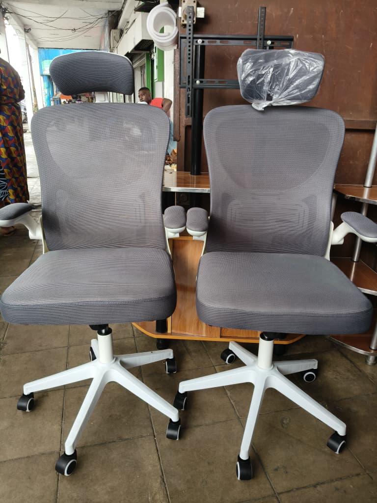 Chaise de Bureau Ergonomique (Black & Gray)